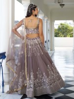 Dusty Brown Butterfly Net Lehenga Choli